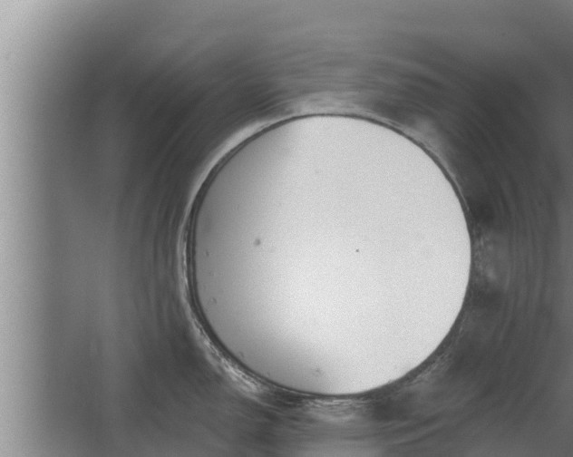 X0000064051150200602031617