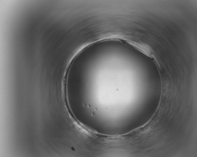 X0000064051151200602031617