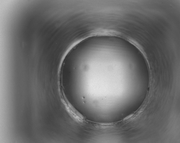 X0000064051152200602031617