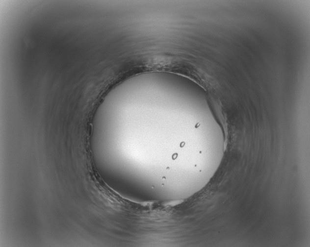 X0000064051153200602031616