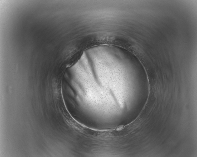 X0000064051154200602031616