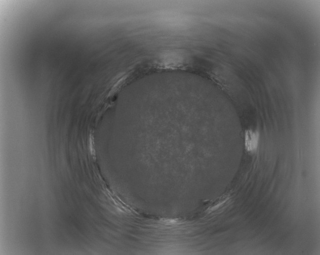 X0000064051155200602031616