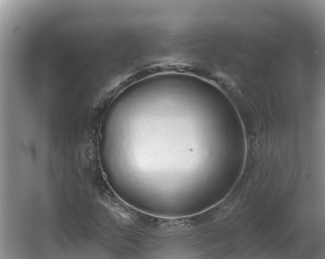 X0000064051159200602031616