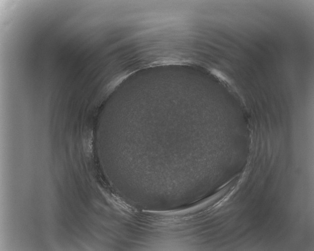 X0000064051161200602031616