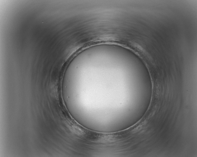 X0000064051162200602031616