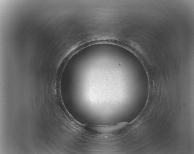 X0000064051165200602031616