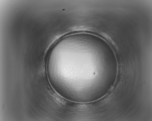 X0000064051167200602031616