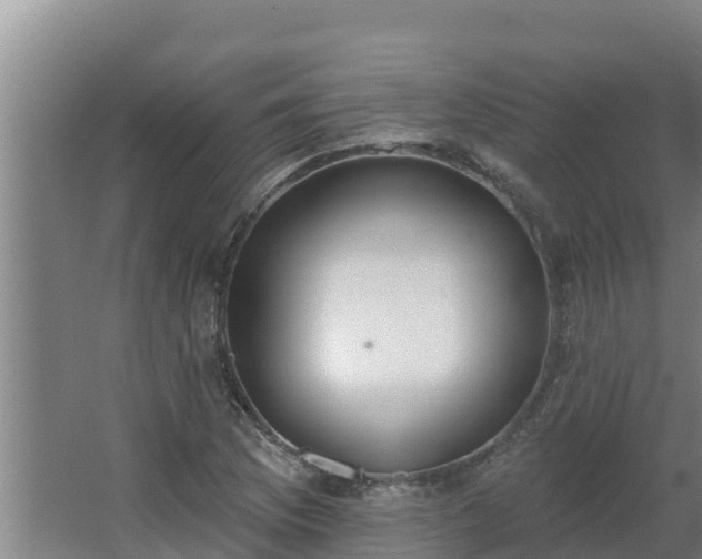 X0000064051169200602031616