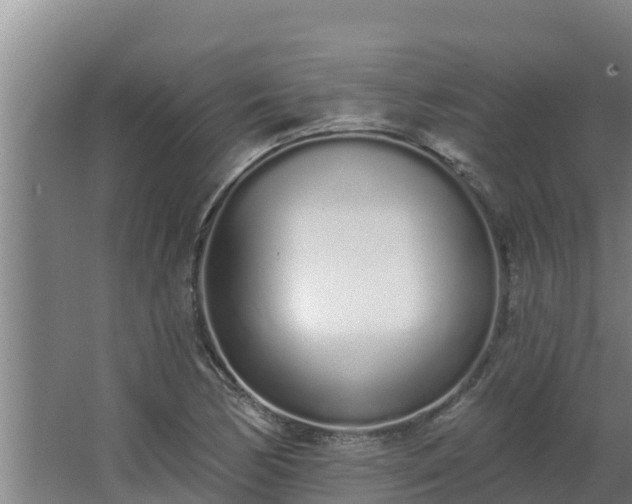 X0000064051170200602031616