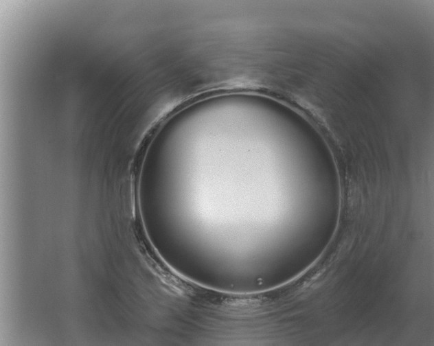 X0000064051171200602031616