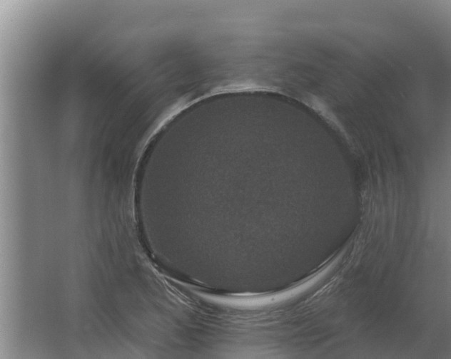 X0000064051173200602031616