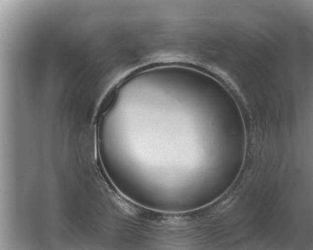 X0000064051175200602031616