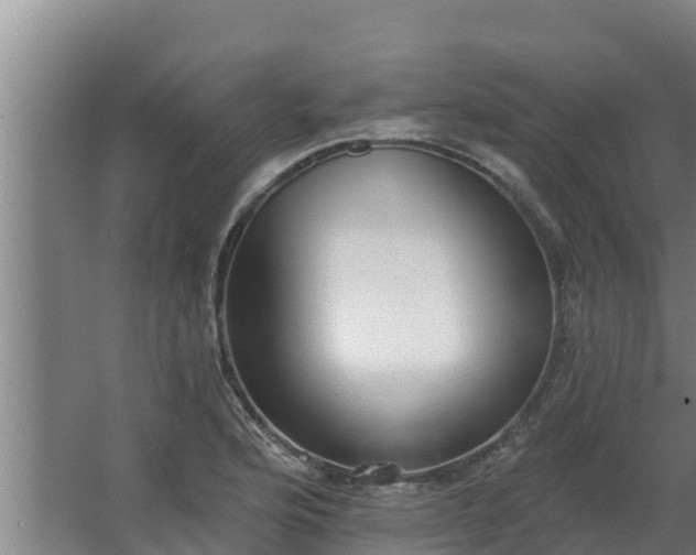 X0000064051176200602031615