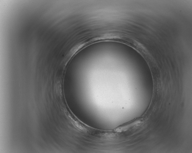 X0000064051177200602031615