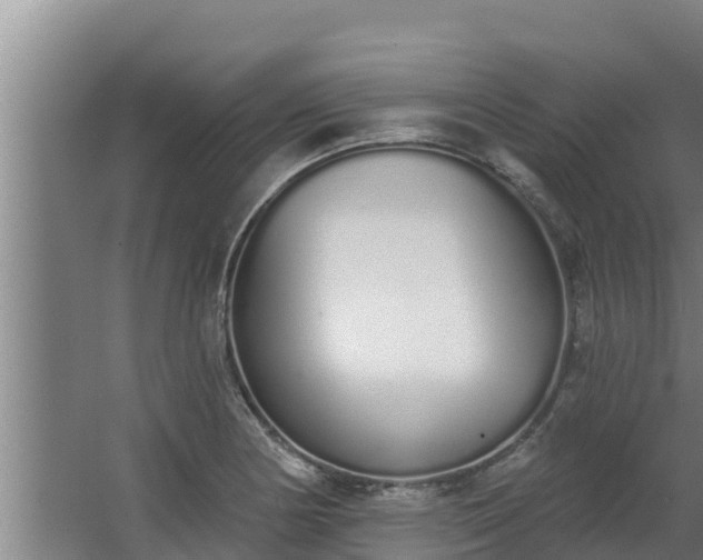 X0000064051178200602031615