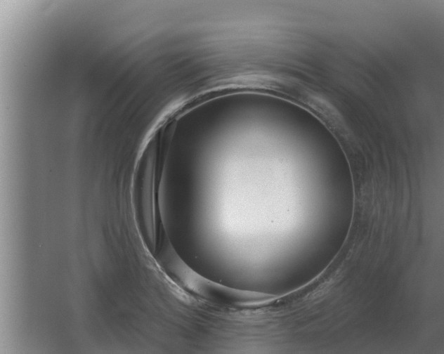 X0000064051180200602031615