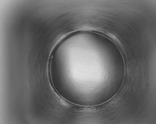 X0000064051183200602031615