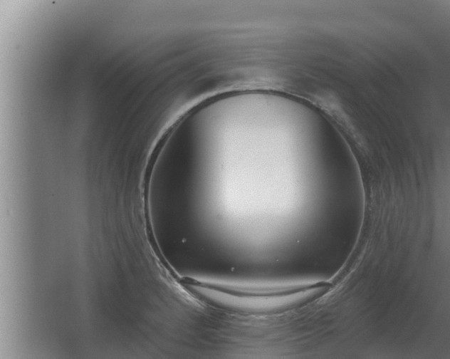 X0000064051184200602031615