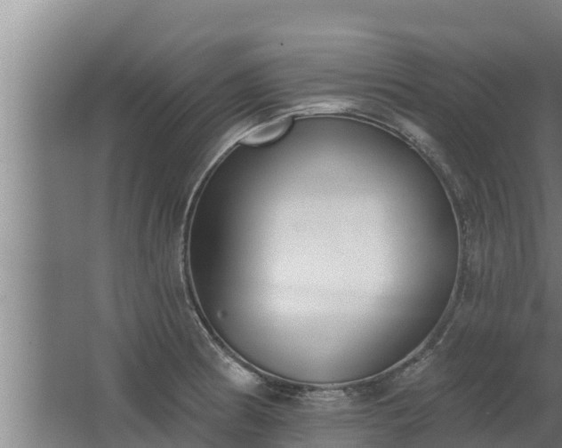 X0000064051186200602031615