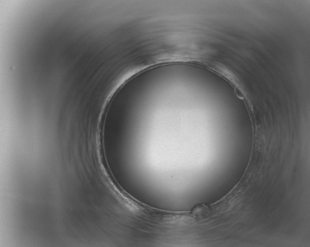 X0000064051187200602031615