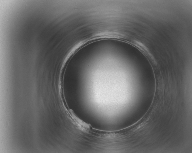 X0000064051188200602031615