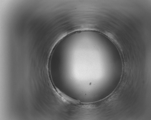 X0000064051189200602031615