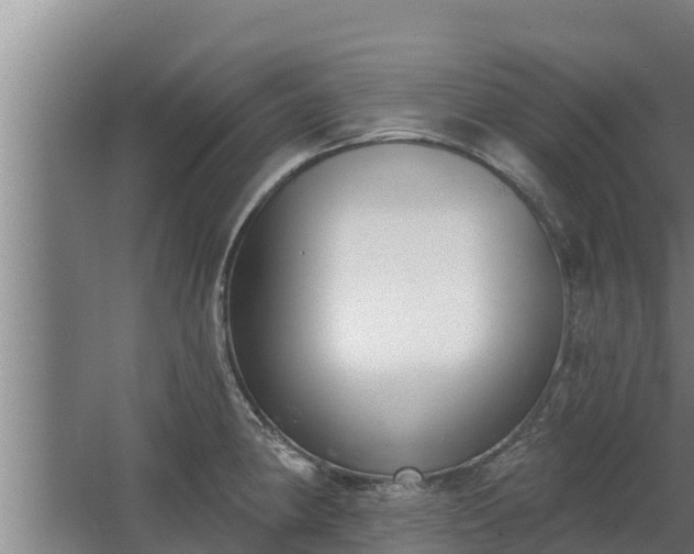 X0000064051190200602031615