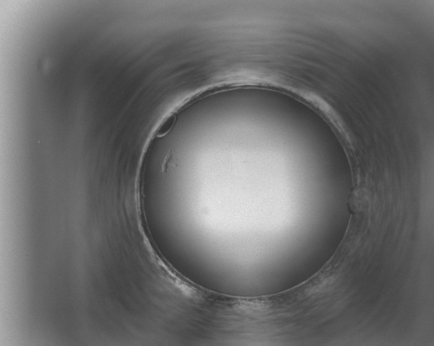 X0000064051191200602031615