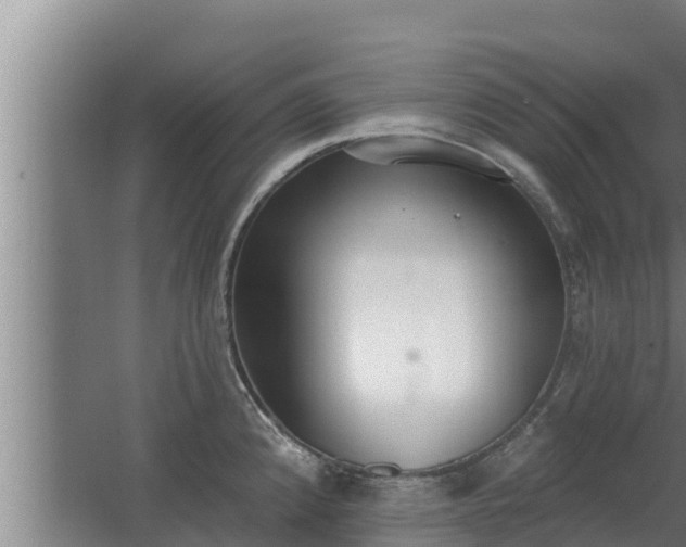 X0000064051192200602031615