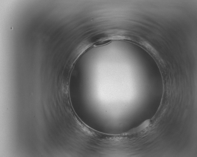 X0000064051193200602031615