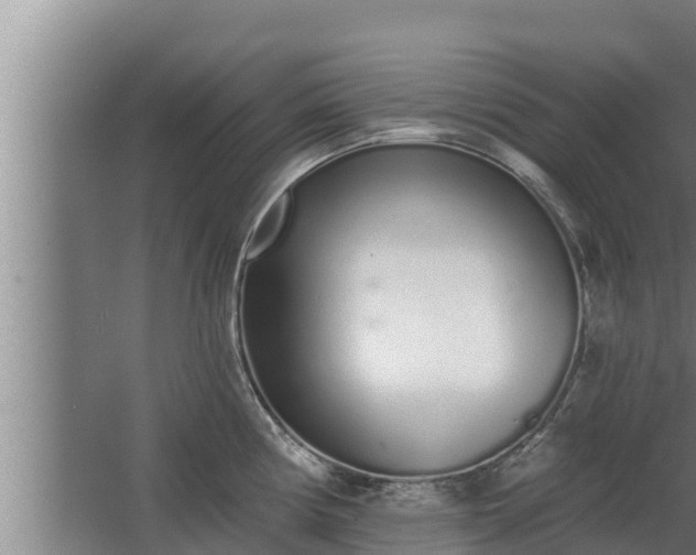 X0000064051194200602031615