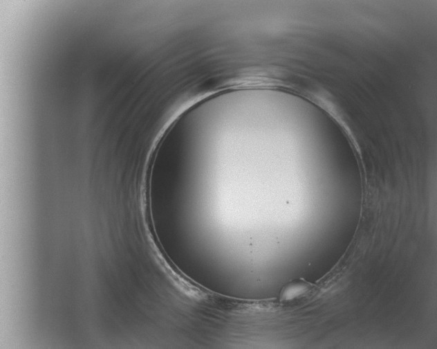 X0000064051195200602031615