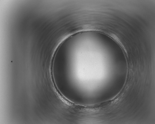 X0000064051197200602031615