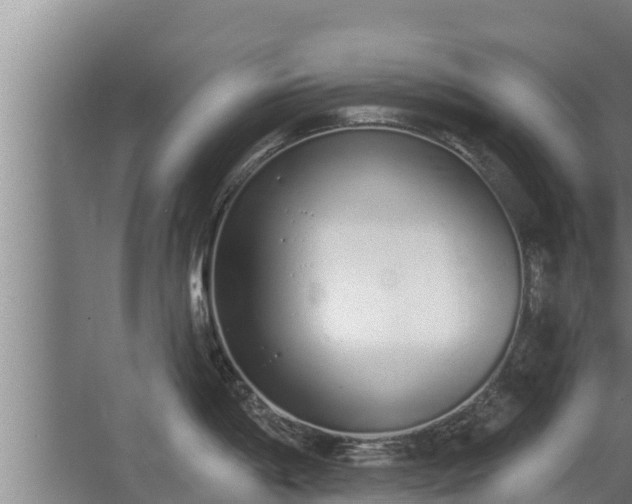 X0000064051198200602031615