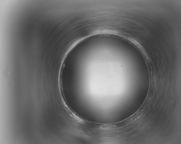 X0000064051199200602031615