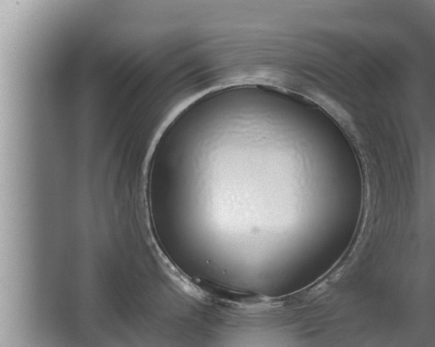 X0000064051200200602031615