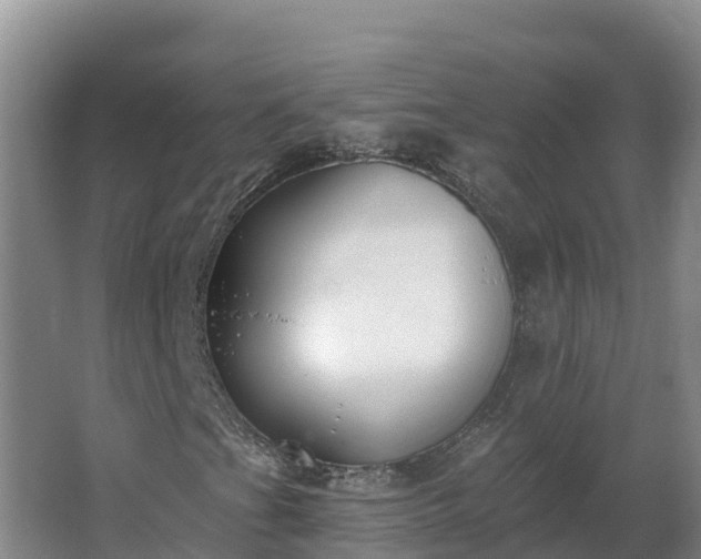 X0000064051201200602031614