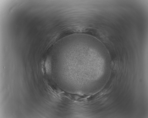 X0000064051202200602031614