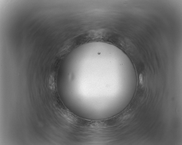 X0000064051203200602031614