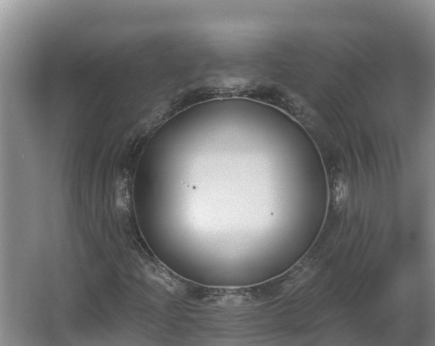 X0000064051204200602031614