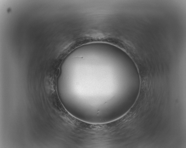 X0000064051205200602031614