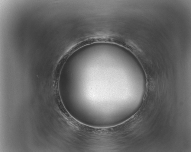 X0000064051208200602031614