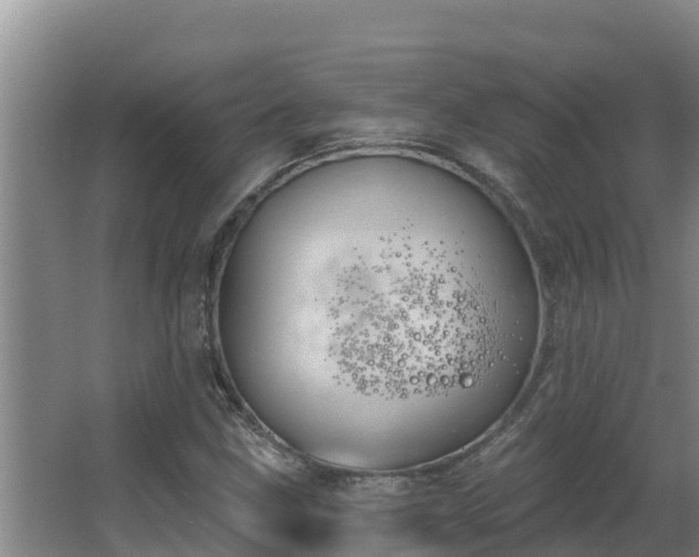 X0000064051211200602031614