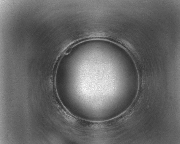 X0000064051212200602031614