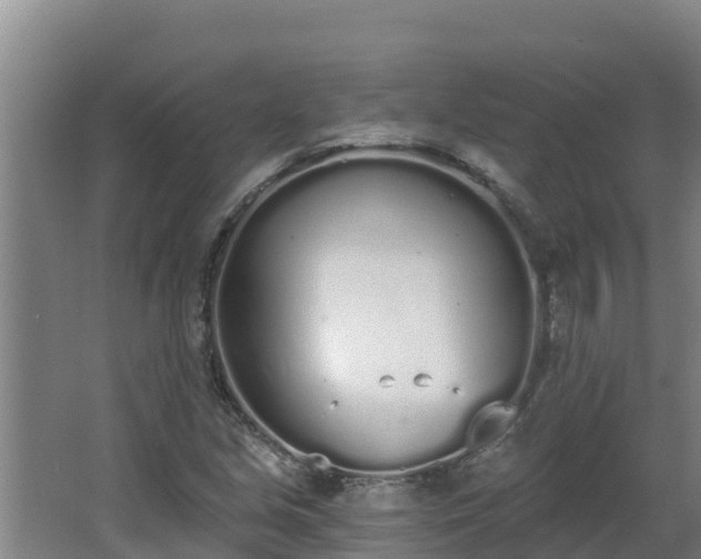 X0000064051213200602031614