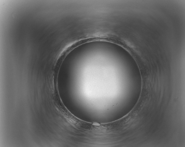 X0000064051214200602031615