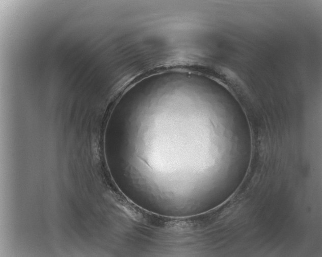 X0000064051217200602031615