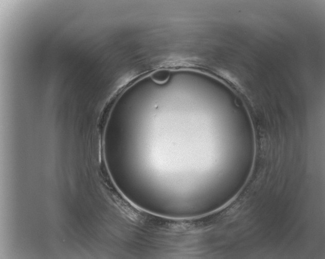 X0000064051219200602031615