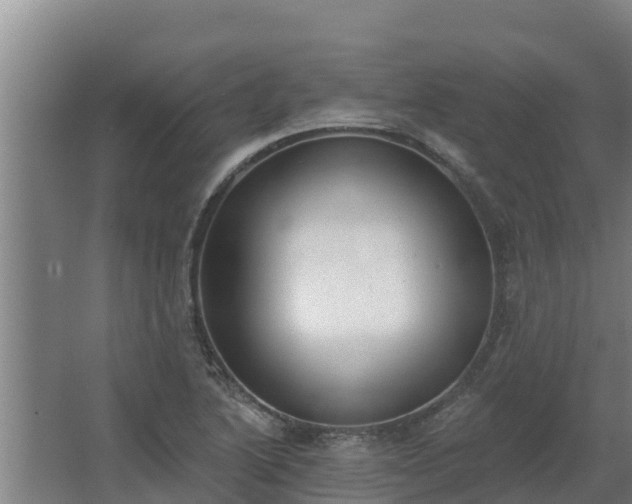 X0000064051222200602031615