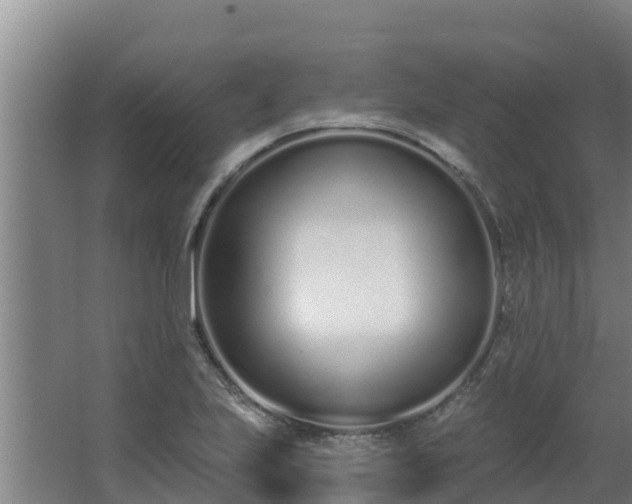 X0000064051223200602031615